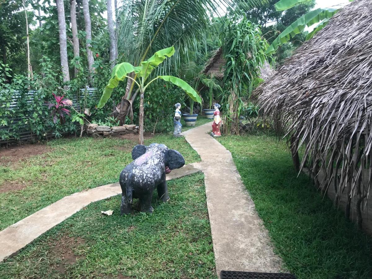 Sigiriya Village Home Stay Εξωτερικό φωτογραφία