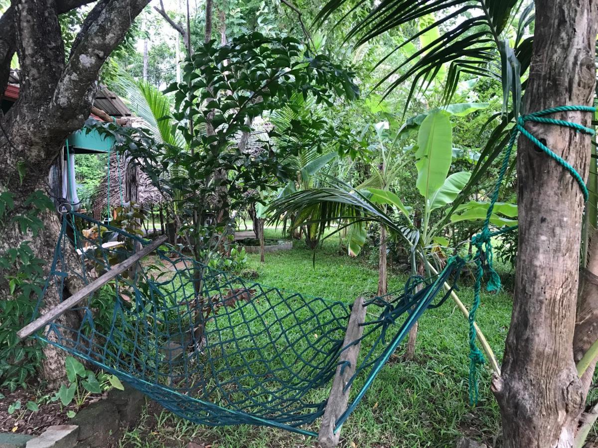 Sigiriya Village Home Stay Εξωτερικό φωτογραφία